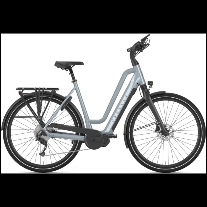 Gazelle Chamonix T10HMS Gr. L-53cm